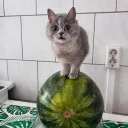 pivistik