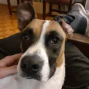 greensburg