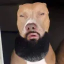 paslooo