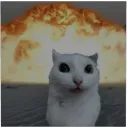 _sp0ng3