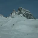 henrifebus
