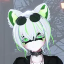 veiltheraccoon