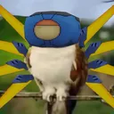 comerade_toaster