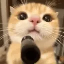 joshthebrit7669