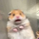 nexusaxe