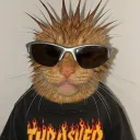 sparky562 avatar