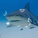 love_struck_loser