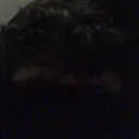 whiteeclipsee