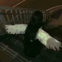 Аватар warry0801