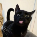 avatar 𝑇’⋆ ༘ ྀི➴