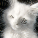 avatar ⋄◊∽◊⋄𝒩𝑜𝒷𝑜𝒹𝓎⋄◊∽◊⋄