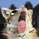 wizzywusky