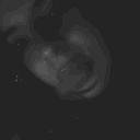 avatar Zuppadilatte🍼