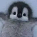 osuunn_