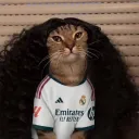 eo_guimee