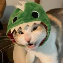 worldryker avatar