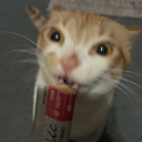 avatar 𝒜𝓇𝒾 ꨄ