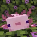 moki1512 avatar