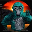 blxzzard._