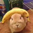 sudu.ftw.707