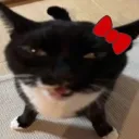ragebaiter_remi