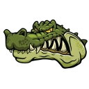 Caiman