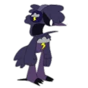 catnapexe