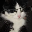 roihrd.z avatar
