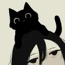 zzstq.arie