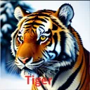 tigerplayz4