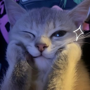 avatar nina ⋆˙⟡