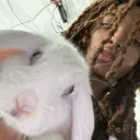 merstaxkz