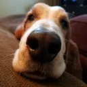 motowook's Discord avatar