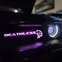 deathlzss