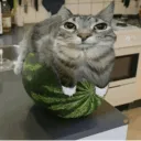 mashle.burnedead avatar