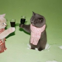 avatar ⃟⃟⃟⃟⃟⃟