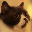 lsui6011847's Avatar