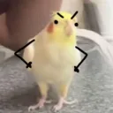 loribellious