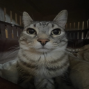 moon_mental's Avatar