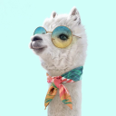 xiaoji6088983's Avatar