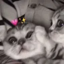 メンバーのアバター