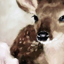 avatar 𝐌𝐚𝐫𝐥𝐚