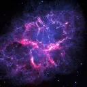 yournextfather. avatar