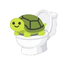 schildkroeti