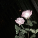 avatar 𝔒𝔯𝔠𝔥𝔦𝔡~