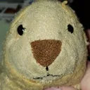 baby__lion