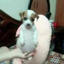 manderchu2404 avatar