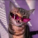 ttvcolevr