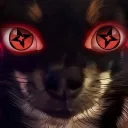 willqn avatar