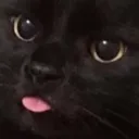 zoomerboomer9 avatar